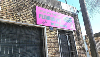 Veterinaria - 12000 Montevideo Veterinaria - 12000 Montevideo