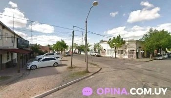 Veterinaria Achard - 75200 Cardona Veterinaria Achard - 75200 Cardona