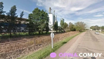 Veterinaria Agromercado Paysandu - 60000 Paysandú