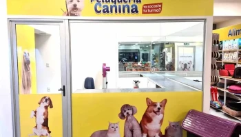 Veterinaria Alem - 11300 Montevideo Veterinaria Alem - 11300 Montevideo