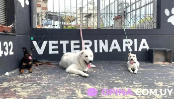 Veterinaria Anubis - 11600 Montevideo Veterinaria Anubis - 11600 Montevideo