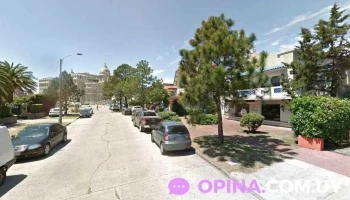 Veterinaria Arocena - 11500 Montevideo Veterinaria Arocena - 11500 Montevideo