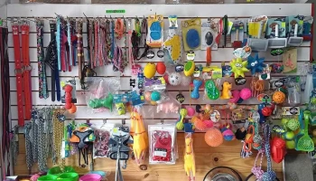 Veterinaria Colon - 12500 Montevideo Veterinaria Colon - 12500 Montevideo