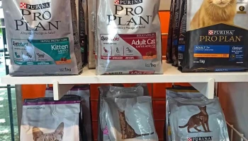 Veterinaria Diga Guau - Gabriel Pereira 2918 Veterinaria Diga Guau - Gabriel Pereira 2918