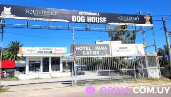 Veterinaria Dog House - Av. Giannattasio Veterinaria Dog House - Av. Giannattasio