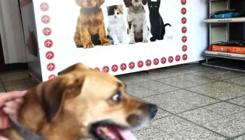 Veterinaria Dr. Jorge Daniel Soriano - Fabián Onsari 957