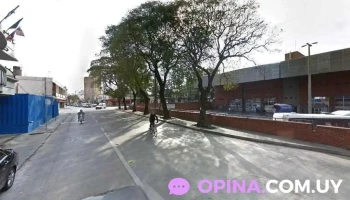 Veterinaria Ekinos - 11800 Montevideo