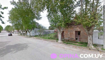 Veterinaria El Boyero - 97000 Villa Del Carmen