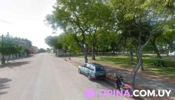 Veterinaria El Parao - 31100 Vergara Veterinaria El Parao - 31100 Vergara