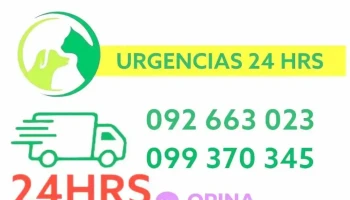 Veterinaria El Pinar - 15800 Canelones