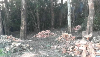 Veterinaria El Timbó - 75000 Mercedes