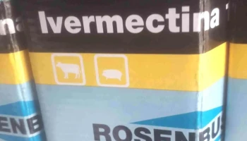 Veterinaria Itayuba - 40000 Rivera Veterinaria Itayuba - 40000 Rivera