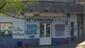 Veterinaria Kninos - Gobernador Del Pino
