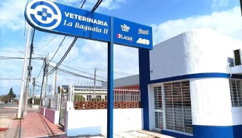 Veterinaria 
