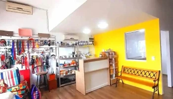 Veterinaria La Carolina - 20400 San Carlos Veterinaria La Carolina - 20400 San Carlos