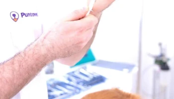 Veterinaria La Clínica - 11600 Montevideo Veterinaria La Clínica - 11600 Montevideo