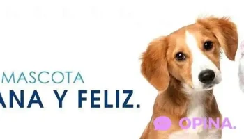 Veterinaria La Jungla - 11200 Montevideo Veterinaria La Jungla - 11200 Montevideo