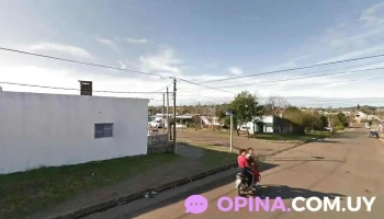 Veterinaria La Pelu - 50000 Salto Veterinaria La Pelu - 50000 Salto