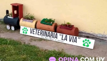 Veterinaria La Vía - 60100 Guichón Veterinaria La Vía - 60100 Guichón