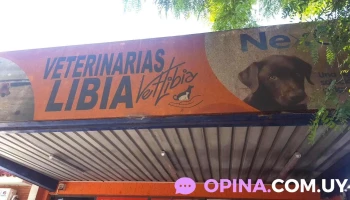veterinaria Libia ( Camino carrasco) - 12100 Montevideo veterinaria Libia ( Camino carrasco) - 12100 Montevideo
