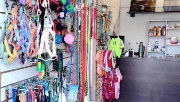 Veterinaria Luna Llena - Brigadier Gral. Fructuoso Rivera Veterinaria Luna Llena - Brigadier Gral. Fructuoso Rivera