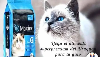 Veterinaria Machado. - Av. Feliciano Viera 807 Veterinaria Machado. - Av. Feliciano Viera 807