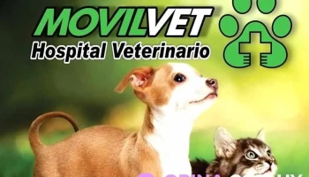 Veterinaria Movilvet - 11600 Montevideo Veterinaria Movilvet - 11600 Montevideo