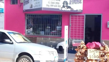 Veterinaria Nativa - 90200 Las Piedras Veterinaria Nativa - 90200 Las Piedras