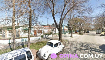 Veterinaria Nueva Cimarrón - 12000 Montevideo Veterinaria Nueva Cimarrón - 12000 Montevideo