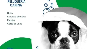 Veterinaria Nueva Italia - 11400 Montevideo