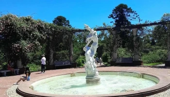 Veterinaria Nueva Lavalleja - 12300 Montevideo