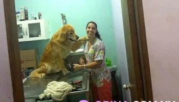 Veterinaria Nueva Uruguaya - 11800 Montevideo