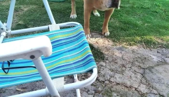 Veterinaria Orejano - 12400 Montevideo Veterinaria Orejano - 12400 Montevideo