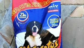 Veterinaria Pachu - 11900 Montevideo Veterinaria Pachu - 11900 Montevideo