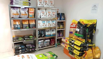 Veterinaria Petit Amor - 20000 Maldonado Veterinaria Petit Amor - 20000 Maldonado