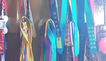 Veterinaria Piedra Alta - Gutiérrez Ruiz 360 Veterinaria Piedra Alta - Gutiérrez Ruiz 360