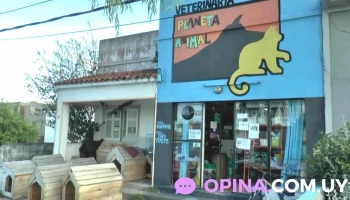 Veterinaria Planeta Animal - 45100 Paso De Los Toros Veterinaria Planeta Animal - 45100 Paso De Los Toros