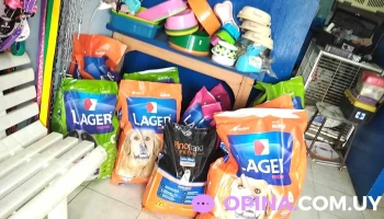 Veterinaria Runakay - Clitemnestra 91000