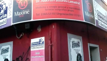 Veterinaria Ruta 48 - 90200 Las Piedras Veterinaria Ruta 48 - 90200 Las Piedras