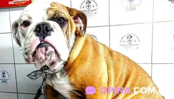 Veterinaria Salto Grande - Concordia