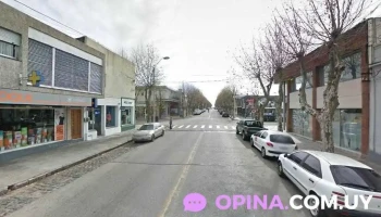 Veterinaria Salud Animal - 70000 Col. Del Sacramento Veterinaria Salud Animal - 70000 Col. Del Sacramento