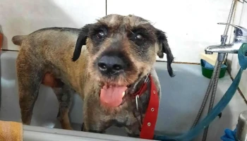 Veterinaria Santa Clara - 12000 Montevideo Veterinaria Santa Clara - 12000 Montevideo