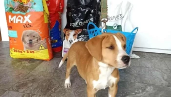 Veterinaria ZonaVet - 50000 Salto