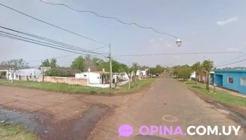 Veterinario Móvil - 55000 Artigas