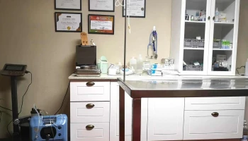 Vetpunta (Dra. Carolina Rodriguez) - Uruguay