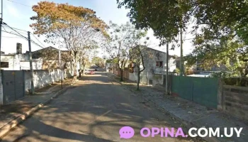 Vicky peinados unisex - 50000 Salto