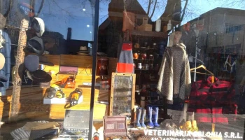 Vieja Veterinaria Colonia - 70000 Col. Del Sacramento