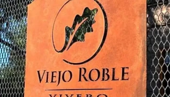 Viejo Roble Vivero - 91500 Sauce Viejo Roble Vivero - 91500 Sauce