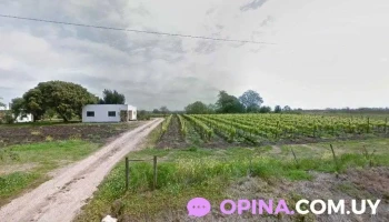 Vino Unico Vino Unico