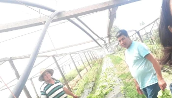 Vivero del Ángel - Guichón Vivero del Ángel - Guichón